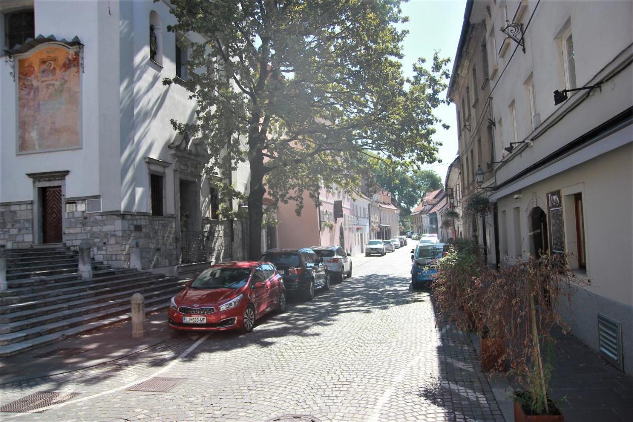 Pink House Studio Ljubljana Luaran gambar